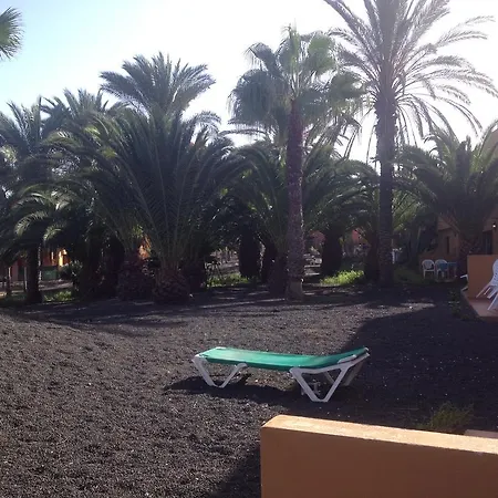 In Oasis